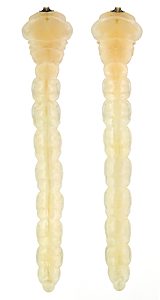 Microcastalia globithorax, PL4127A, larva, from Choretrum glomeratum (PJL 3296) stem base, dorsal & ventral, SE, 25.0 × 4.8 mm